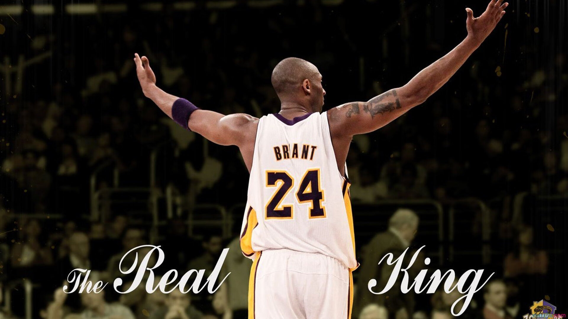 赛道上的北极风暴，挪威黑马撼动沙特F1年度争冠格局