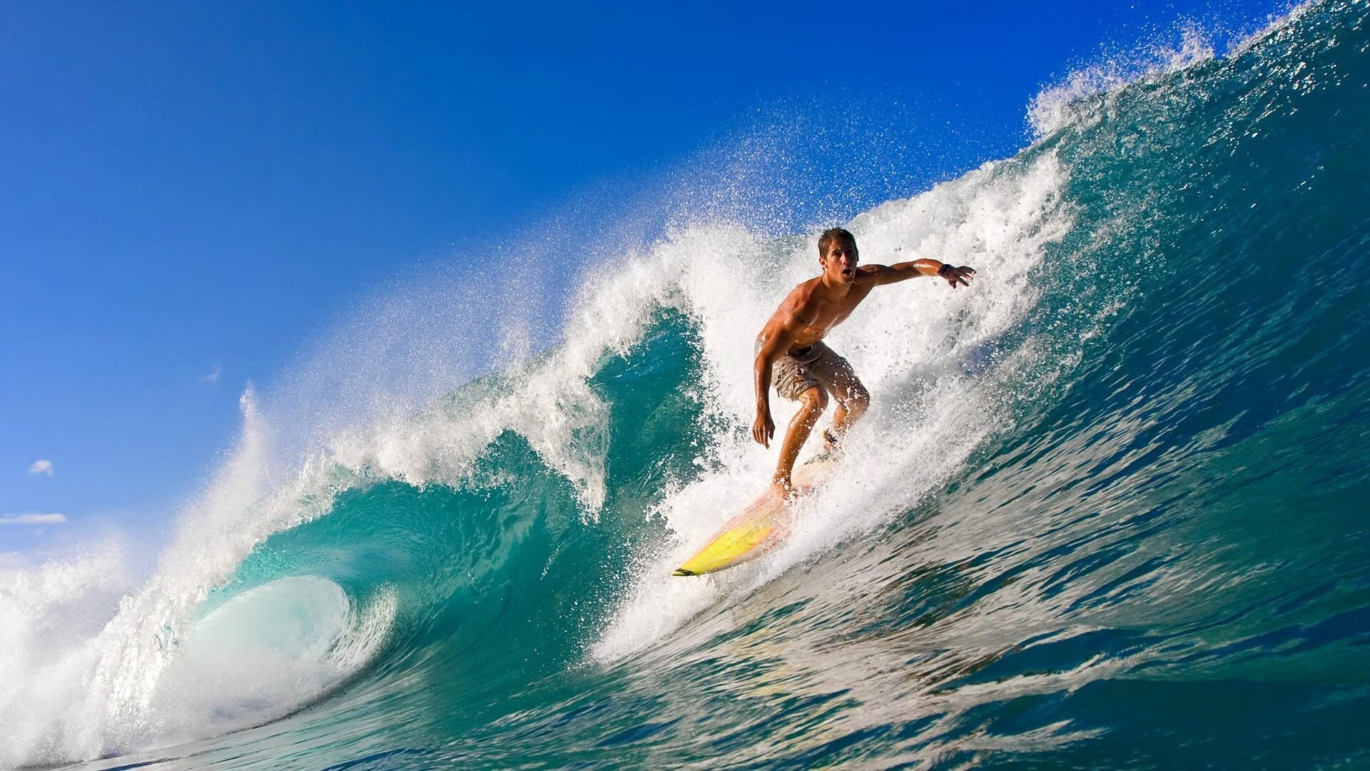 世界杯之夜,范弗利特的表现堪称教科书